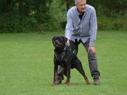 01.07.2023 offenes training 17